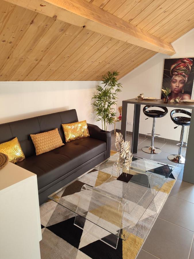 La Maison Blanche Apartment Limoges Bagian luar foto